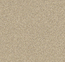 Линолеум Juteks Premium NEVADA 1_9002 фото 1 | FLOORDEALER